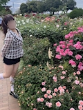 みのり