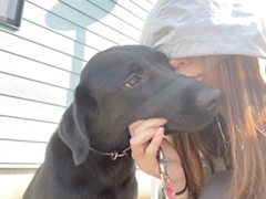 莉穂「愛犬」
