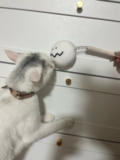 ゆり