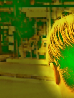 社