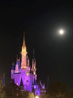 プロフィール写真1・ななみ｜朝からやっているカラオケCafe&Bar CRAZY HORSE・クレイジーホース - 池袋西口(北)のガールズバー