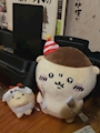 chiko