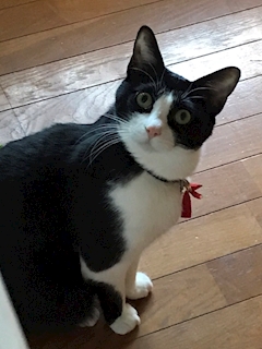 プロフィール写真1・めい｜SAKURA・サクラ - 郡山・朝日のスナック