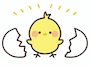 🐣1日体験🐣