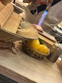 新着ブログ 橘 こう 投稿592回目