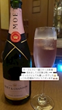 新着ブログ ありがとうございます🙏🏼🙏🏼