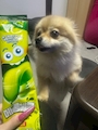chiko