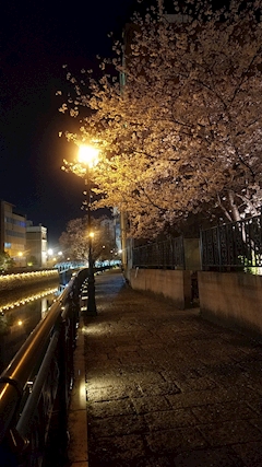 ✨✨まひと✨✨