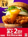 新着ブログ 🌛