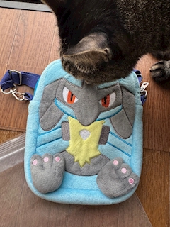 エリカ