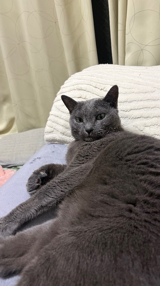 ゆい