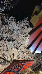 🍒✨泉水 真梨✨🍒✨🍒