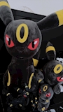 新着ブログ ブラッキー