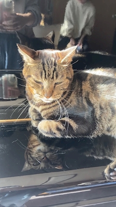 あんな