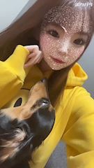 プロフィール動画