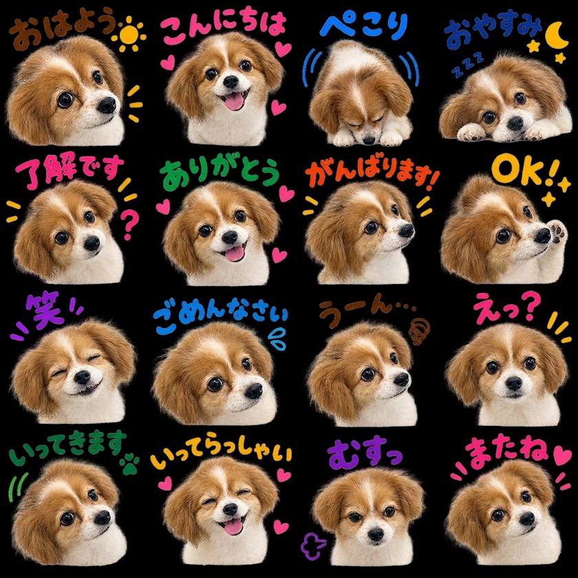 白鳥雪乃