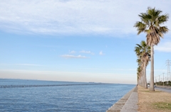 プロフィール写真8・あいび｜Selene・セレネ - 田町のガールズバー