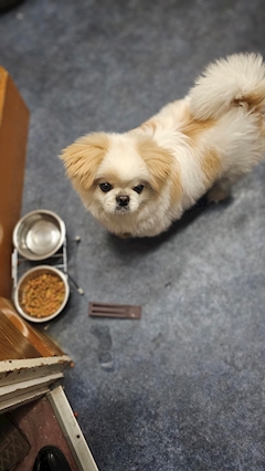 プロフィール写真2・お店の中の人2号｜Reborn・リボーン - 旗の台駅のガールズバー