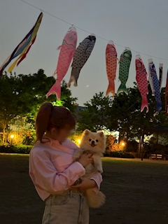 かんな「🐶🎏‪💖」