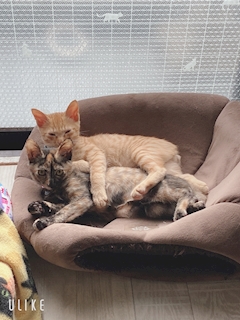 プロフィール写真1・シモさん｜