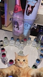 chiko