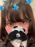 ひな
