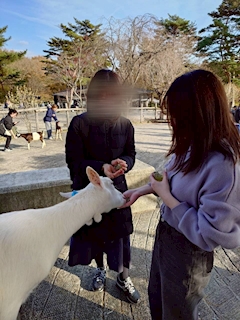 なつ「めぇ～めぇ～牧場🐑🐑🐑」