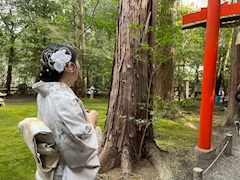 プロフィール写真2・愛弓ママ【Girl's Bar Cecil】｜