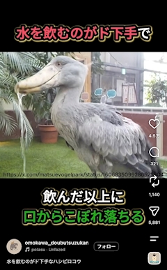 まりん🐬🩵