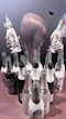 プロフィール写真1・なつ｜EMPRESS・エンプレス - 中洲のガールズバー
