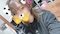 プロフィール写真2・りの｜Girls Bar Lulu・ルールー - 田町東口のガールズバー