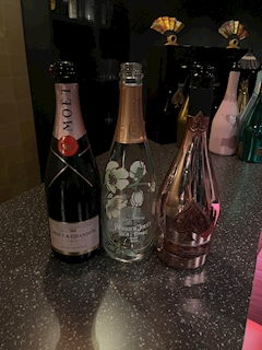 プロフィール写真11・もも🫐花魁Tokyo‎‎🪽｜花魁Tokyo・オイラントウキョウ - 歌舞伎町のガールズバー