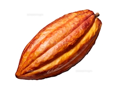 プロフィール写真1・かかお｜スナック cheri・シェリー - 広島市（流川）のスナック