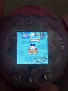 リサ