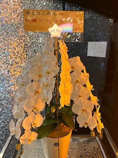 プロフィール写真6・きょうこ｜Mrs.J 梅田・ミセス ジェイ ウメダ - 梅田の熟女パブ/熟女キャバクラ