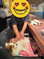chiko