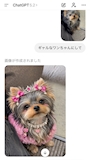 chiko