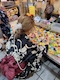 プロフィール写真1・はる｜Uranus・ウラヌス - 広島市（流川）のスナック