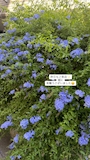 新着ブログ 休み明け初出勤✨✨