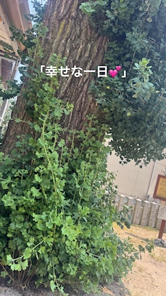 かおり