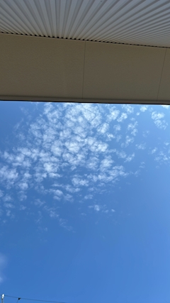 さら