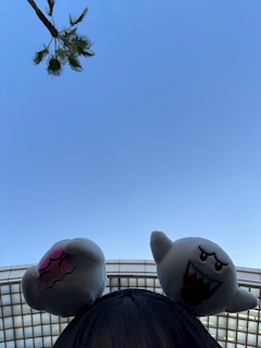 あおい「こんばんは👻」