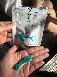 あおい「こんばんは！」