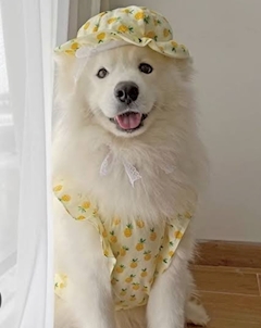 プロフィール写真6・🐶千利みちる🐬｜CLUB ONE CHAN 祇園白川・ワンチャン ギオンシラカワ - 祇園の熟女パブ/熟女キャバクラ