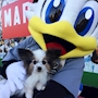 chiko