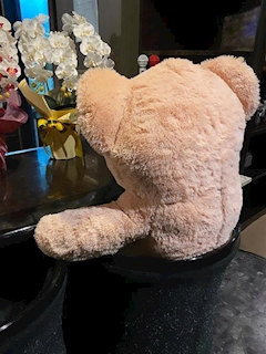 店舗写真 ALBA・アルバ - 山形駅前・香澄町のスナック