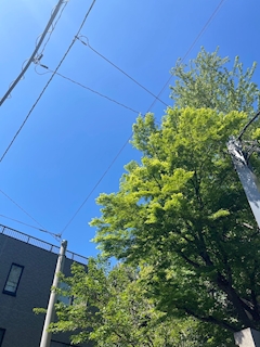 りょう【池袋チェリッシュ】