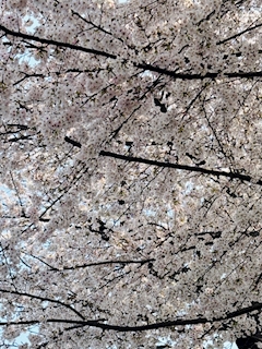 🦄💓ひかる💓ぴかるん💓🦄