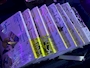 新着ブログ バレンタインデーのお返しありがとうう