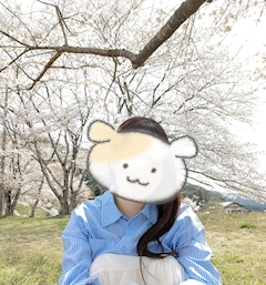 小鳥遊　はる「さくら🌸」